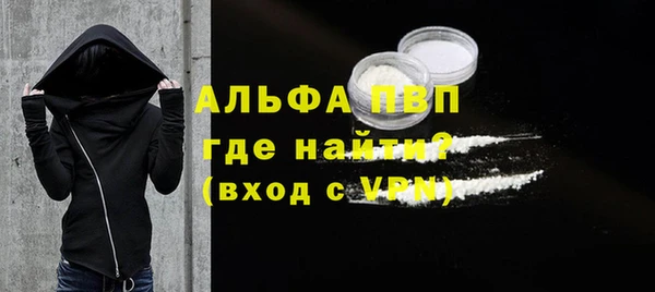 прущие грибы Навашино