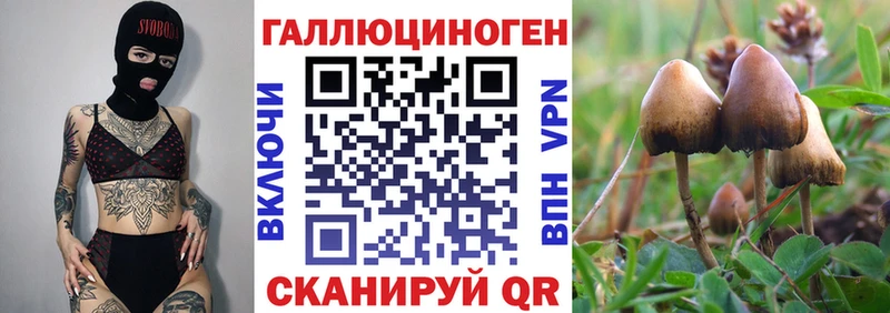 Галлюциногенные грибы мухоморы  Пойковский 